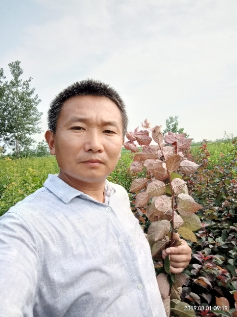 孩子爸的第二张照片--绵阳相亲服务中心