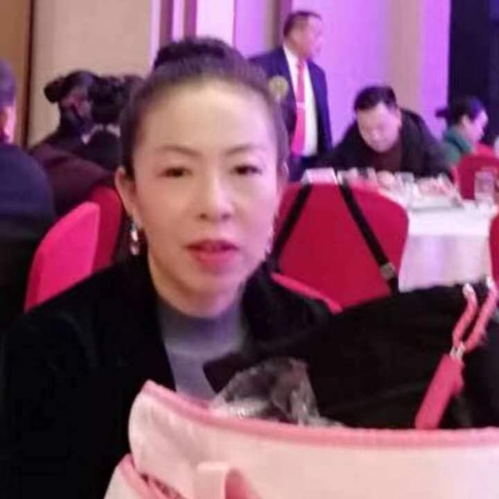 中秋桂花玉兔的第四张照片--绵阳相亲服务中心