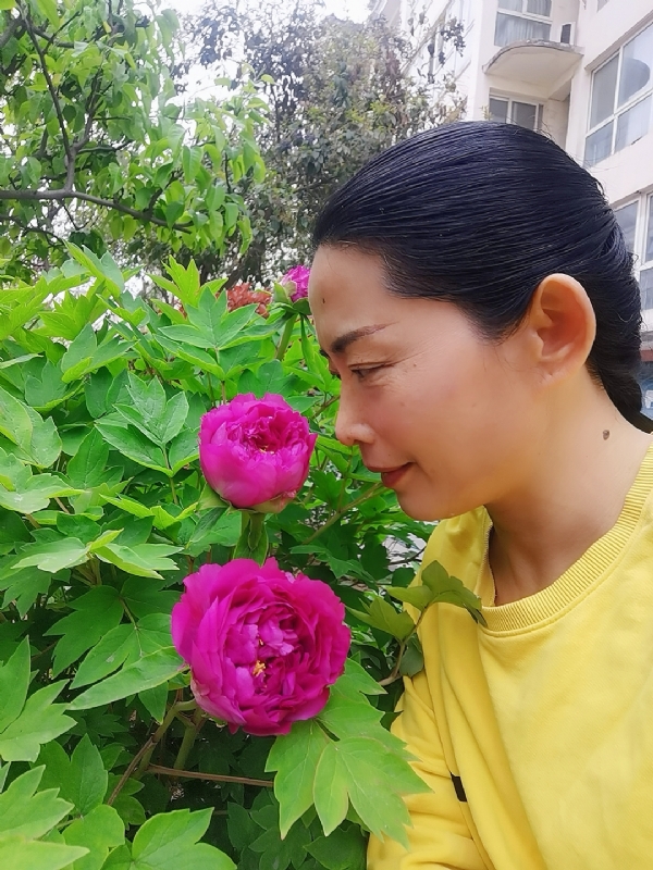 厚德载物的第一张照片--绵阳相亲服务中心