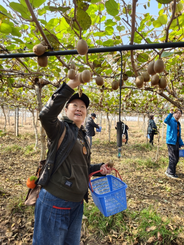 夜莺的第三张照片--绵阳相亲服务中心
